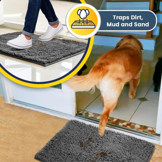 CleanPaw Mat